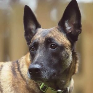 Meet your Posher, Robert